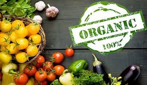 100% organic foods